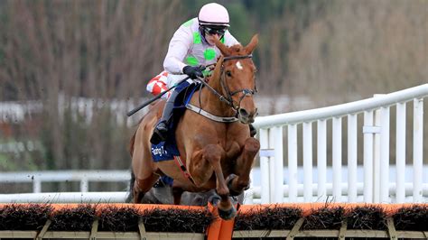 triumph hurdle oddschecker|triumph hurdle betting.